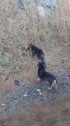 2025年になって、すでに12月の記事動画