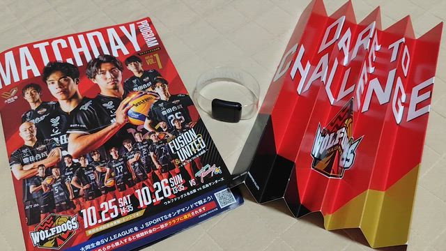 ＳⅤリーグ観戦・畑の記事動画