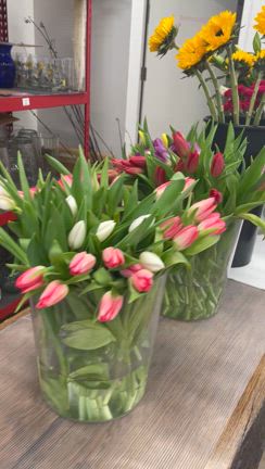 娘家族に会いにアメリカへ〜Part3の記事動画