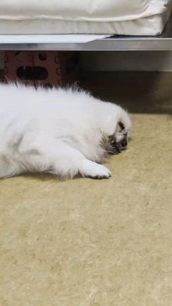 ご無沙汰しておりますの記事動画