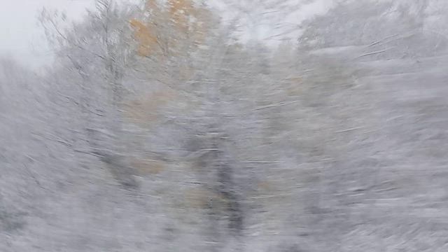 晩秋旅 2025 新札幌・ちょこっと帰勝の記事動画