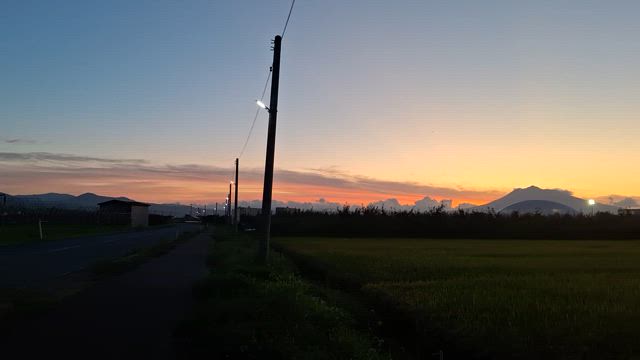 庭木剪定終了！の記事動画