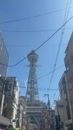 木野島の独り言の記事動画