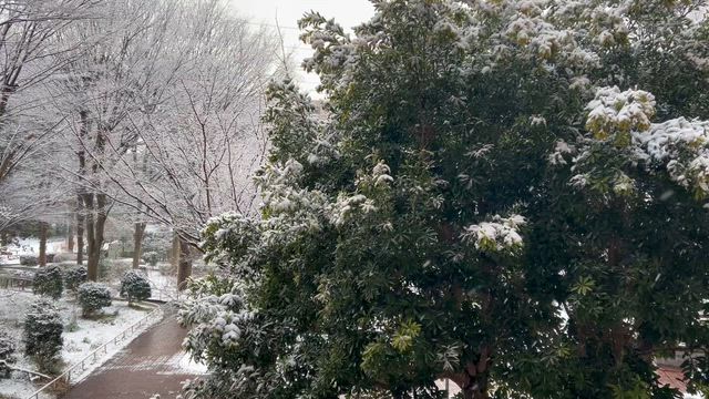 雪景色の記事動画