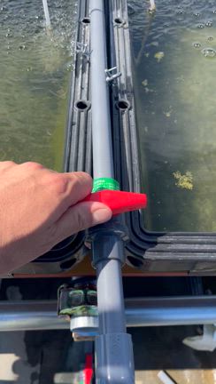 もう楽にさせての記事動画