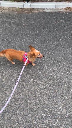 時間の使い方や考え方は自分次第️の記事動画