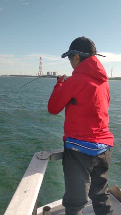 11月6日（木）青物&タチウオ(^o^)の記事動画