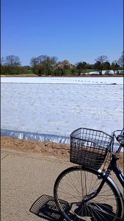 GW中ずっと夫といると具合悪くなる(いつもの事)の記事動画