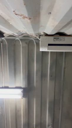 早寝早起き✨の記事動画