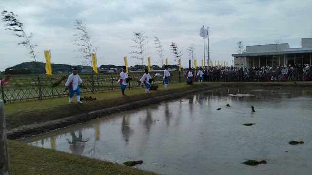 　斎田　お田植えまつりの記事動画