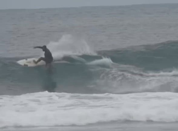 サヌールリーフx Silent Savage、ジョイスティック中古！ | HRS SURF SHOP