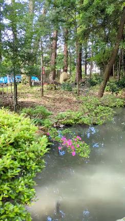 信州で修行中！その２の記事動画