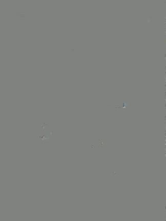 ディズニーシーに行ってきたよ！の記事動画