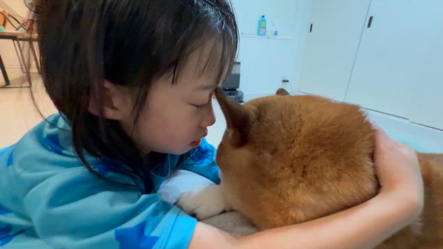 最高の愛の記事動画