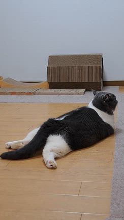 名古屋御園座公演２日目の記事動画