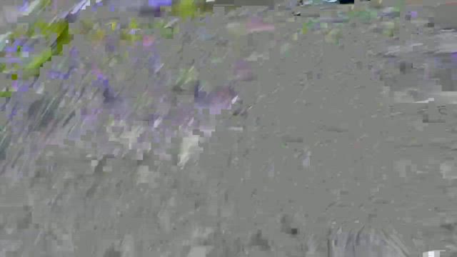 今週は４回も、、、。の記事動画