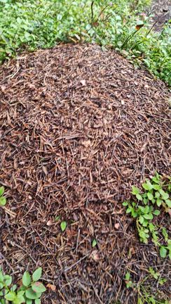 ヘルシンキ滞在3日目ですの記事動画