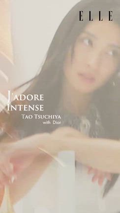 進化の輝きの記事動画