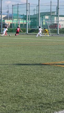 県リーグ/みちのくリーグの記事動画