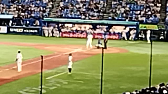 野球観戦の記事動画
