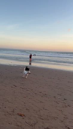 バリ旅行3の記事動画