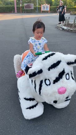 東武動物公園プール　③の記事動画