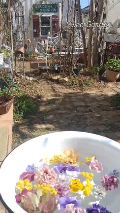 2026/03/08の記事動画