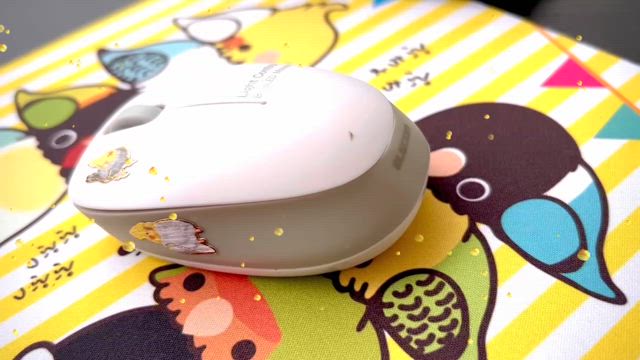 新居でタワマン暮らし再開！の記事動画