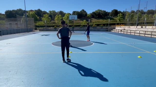 アジリティトレーニング！の記事動画