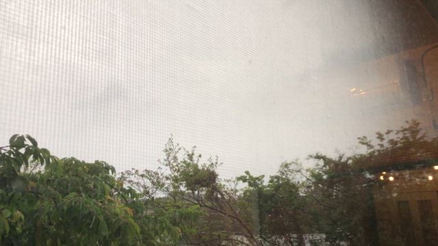 視えない来訪者が見える時というお話しの記事動画