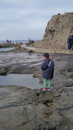 息子の誕生日の前祝いに訪れた、神奈川県観光スポットの記事動画