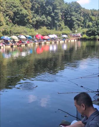 恵一作のしなりの記事動画