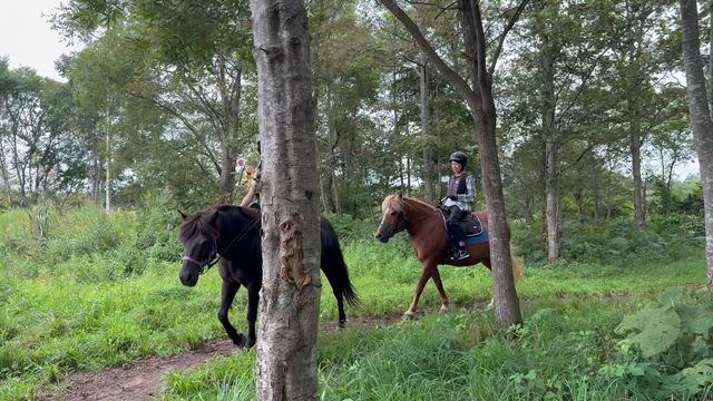 白内障手術からのミスタッチ考の記事動画
