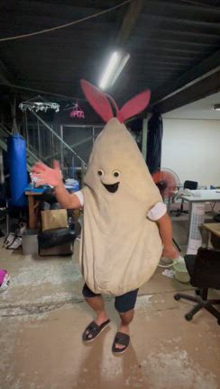 ポニーの記事動画