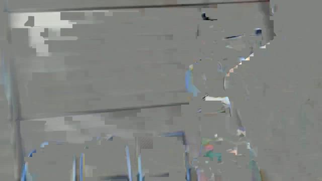 ワカスギの記事動画