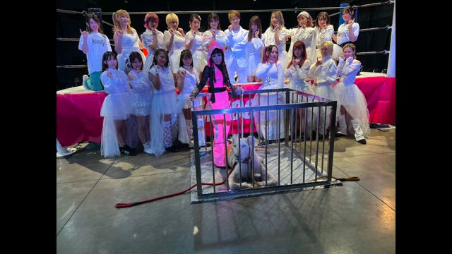 KINGベルトの記事動画