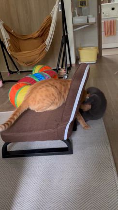 雨が降る日はダメだな〜の記事動画