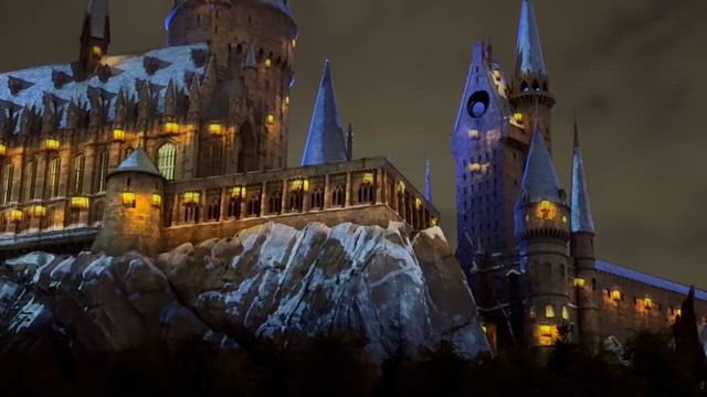 ユニバのクリスマスショー②の記事動画