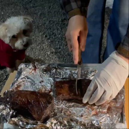 【貸切NAPi】森の奥の隠れ家①の記事動画