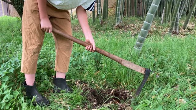 田舎暮らしと子育ち環境　274の記事動画