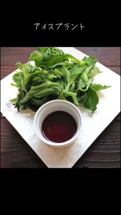 幻のアイスプラントASMR　TikTokで流行り中の記事動画