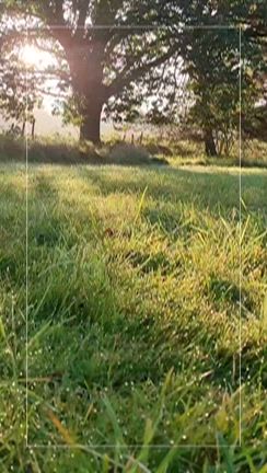 改装工事の記事動画