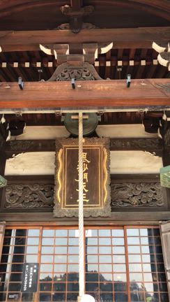 春色の花手水の記事動画