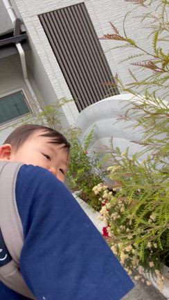 とんでもなく浮かれるご褒美の記事動画