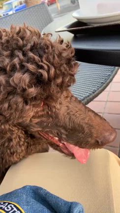 いつまでもこのままで！の記事動画