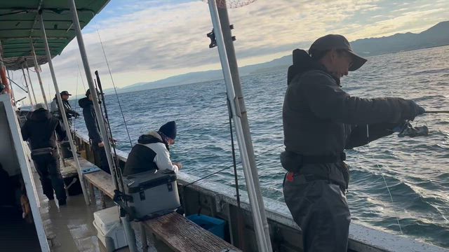 12月19日(金)ひとつテンヤ便の記事動画