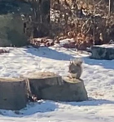 介護休暇の記事動画