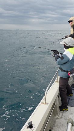 ２９日の記事動画