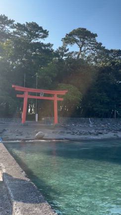 日帰り沼津の記事動画