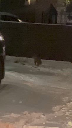 運転には気を付けての記事動画